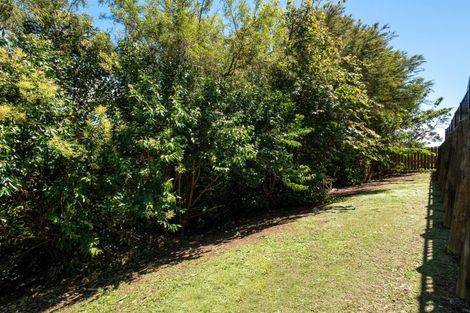 Photo of property in 77 Adler Drive, Ohauiti, Tauranga, 3112
