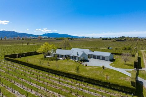 Photo of property in 62 Matthews Lane, Rapaura, Blenheim, 7273