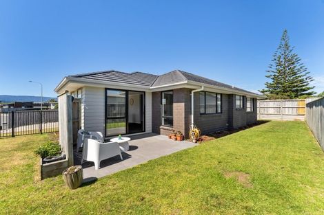 Photo of property in 49 Seagrass Place, Otaki Beach, Otaki, 5512