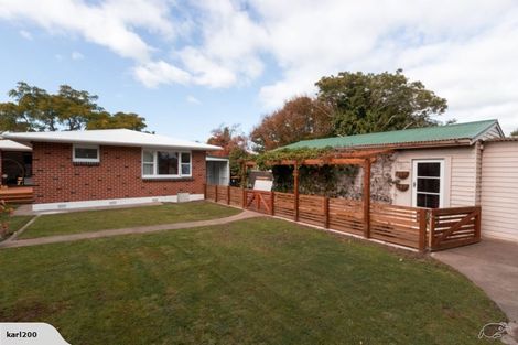 Photo of property in 117 Stanford Street North, Ashhurst, 4810