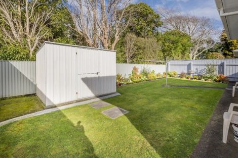 Photo of property in 78 Winchester Street, Levin, 5510