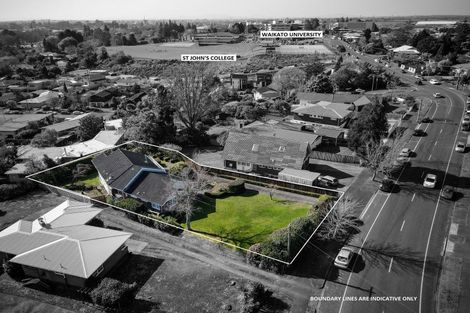 Photo of property in 39 Hillcrest Road, Hillcrest, Hamilton, 3216