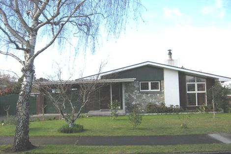 Photo of property in 20 Plunket Street, Solway, Masterton, 5810