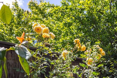 Photo of property in 35 Roberts Road, Lansdowne, Masterton, 5810