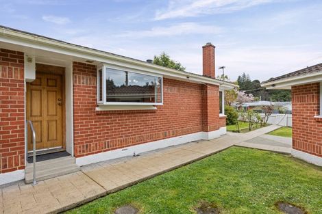 Photo of property in 237 Malvern Street, Glenleith, Dunedin, 9010