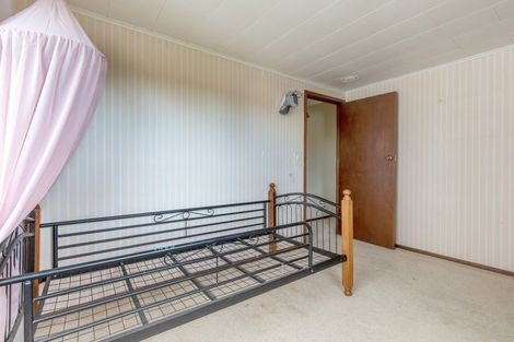 Photo of property in 21 Bibby Street, Waipawa, 4210