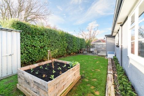 Photo of property in 4a Denbigh Place, Awapuni, Palmerston North, 4412