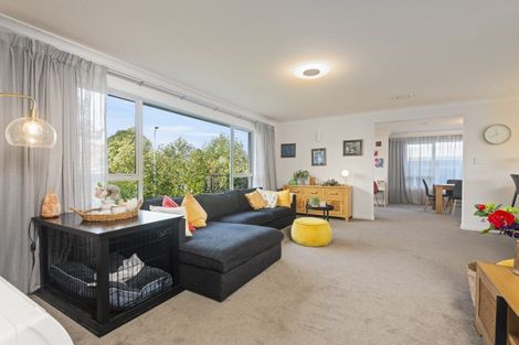 Photo of property in 33 Newcastle Street, Hokowhitu, Palmerston North, 4410