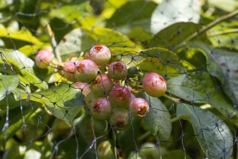 Photo of property in 10 Richmal Street, Waihi, 3610
