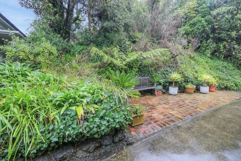 Photo of property in 55 Bidwill Street, Mount Cook, Wellington, 6021