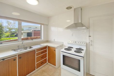 Photo of property in 411 Ruahine Street, Terrace End, Palmerston North, 4410