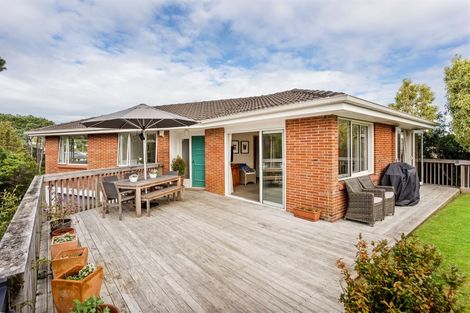 Photo of property in 41 Woodstock Road, Forrest Hill, Auckland, 0620