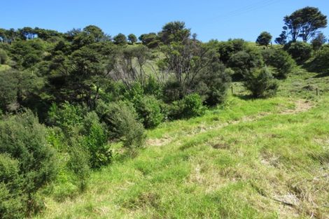 Photo of property in 276 Colville Road, Coromandel, 3584