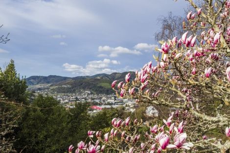 Photo of property in 39 Arrow Street, Washington Valley, Nelson, 7010