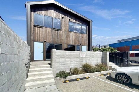 Photo of property in Aniva Terrace, 14 Arney Street, Newtown, Wellington, 6021