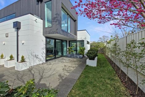 Photo of property in 4b Chambers Street, Havelock North, 4130