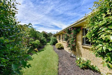 Photo of property in 12 Belmont Place, Gore, 9710