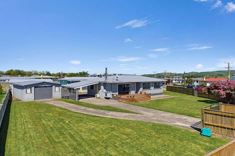Photo of property in 17 Montgomery Street, Waipukurau, 4200
