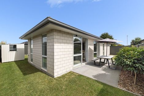 Photo of property in 17 Flack Street, Pyes Pa, Tauranga, 3112