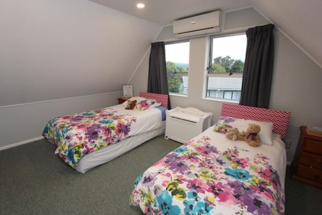 Photo of property in 191 Salisbury Street, Ashhurst, 4810