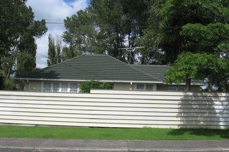 Photo of property in 14 Larsen Road, Panmure, Auckland, 1072