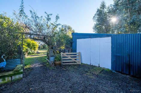 Photo of property in 53 Morven Beach Road, Morven, Waimate, 7980
