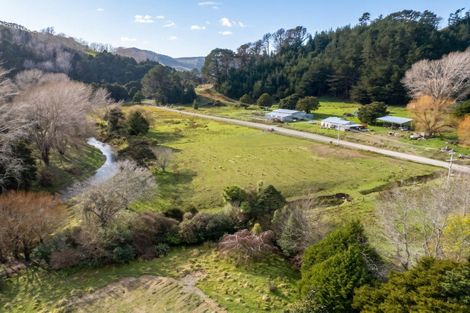 Photo of property in 427 Tinui Valley Road, Tinui Valley, Tinui, 5894