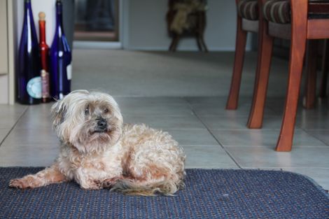 Photo of property in 85 Newton Road, Maungatapere, Whangarei, 0170