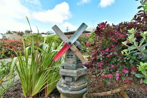 Photo of property in 1/12 Miro Street, Helensville, 0800