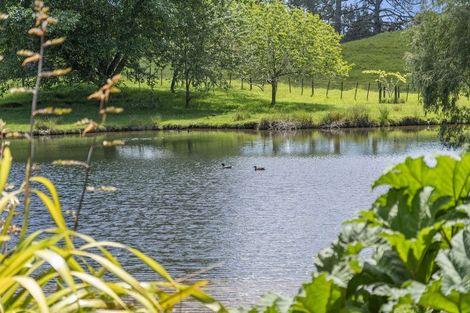 Photo of property in 145 Peers Road, Omanawa, Tauranga, 3171