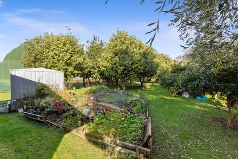 Photo of property in 3 Donelle Place, Te Puke, 3119