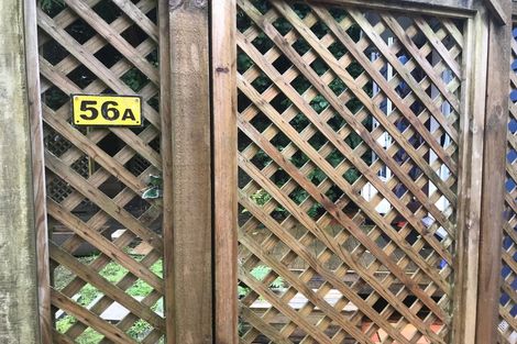 Photo of property in 56 Holloway Road, Aro Valley, Wellington, 6021