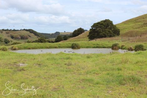 Photo of property in 215c Heatley Road, Whakapirau, 0583