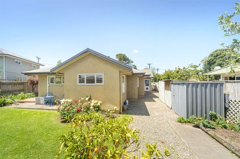 Photo of property in 207 Salisbury Street, Ashhurst, 4810