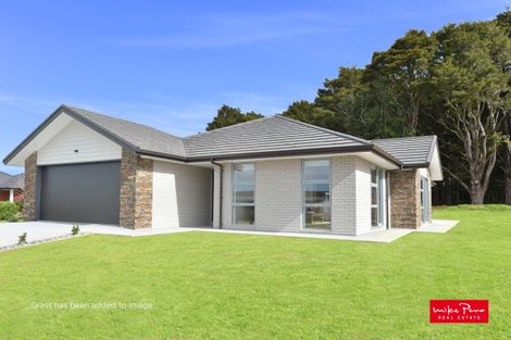 Photo of property in 29 Wainui Avenue, Te Kamo, Whangarei, 0112