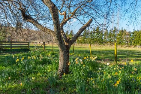 Photo of property in 2576 Homebush Road, Glentunnel, Coalgate, 7673