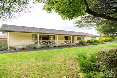 Photo of property in 175 Amberley Avenue, Highbury, Palmerston North, 4412