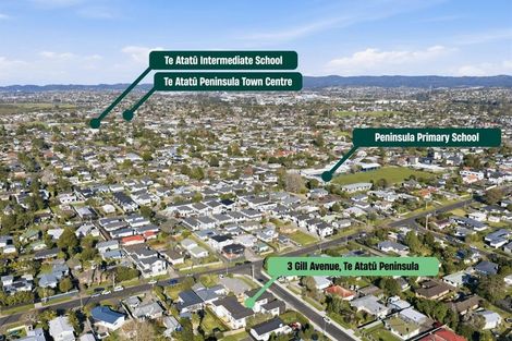 Photo of property in 3 Gill Avenue, Te Atatu Peninsula, Auckland, 0610
