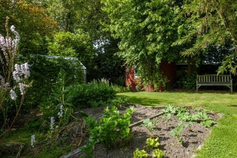 Photo of property in 142 Eglinton Road, Mornington, Dunedin, 9011