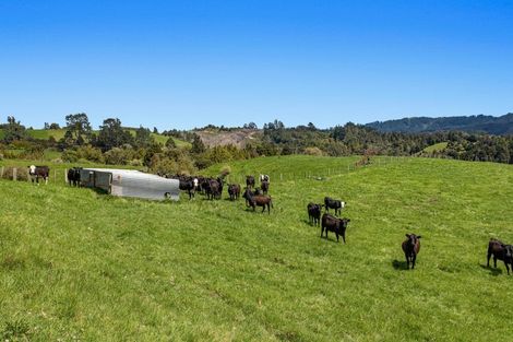 Photo of property in 247b Stanley Road, Wainui, Nukuhou, 3198
