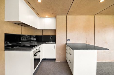 Photo of property in 4e Longwood Avenue, Mornington, Dunedin, 9011