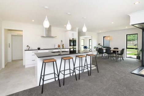 Photo of property in 174a Watershed Road, Bunnythorpe, Palmerston North, 4470