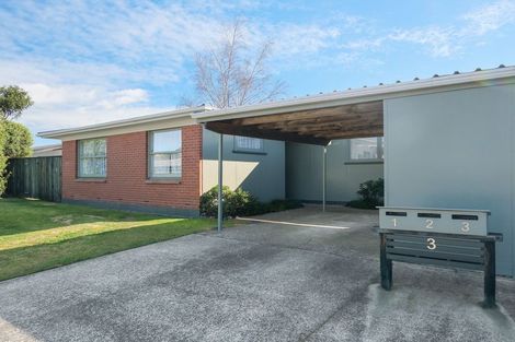 Photo of property in 3 Trent Place, Huntingdon, Ashburton, 7774