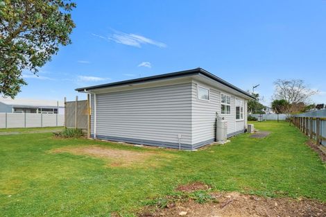 Photo of property in 95 Stanford Street North, Ashhurst, 4810