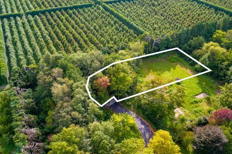 Photo of property in 16 Woodlands Way, Greytown, 5712