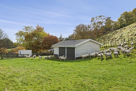 Photo of property in 26 Tammadge Street, Te Kuiti, 3910