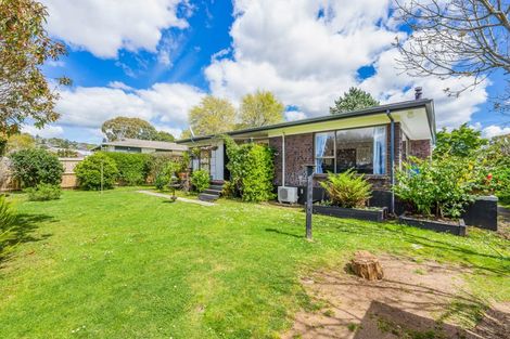 Photo of property in 3 Revell Court, Pukekohe, 2120