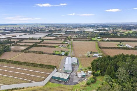 Photo of property in 288a No 3 Road, Te Puke, 3183