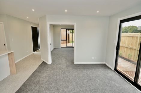 Photo of property in 17c Brightwater Terrace, Terrace End, Palmerston North, 4410