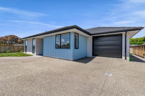 Photo of property in 39a South Road, Blagdon, 4310